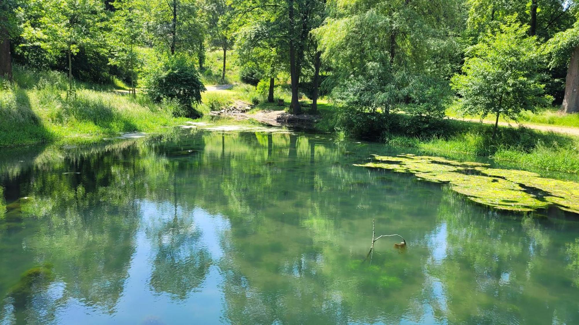 Urlaub Am Rhein, Ferienwohnung Mit Garten ボッパルト エクステリア 写真
