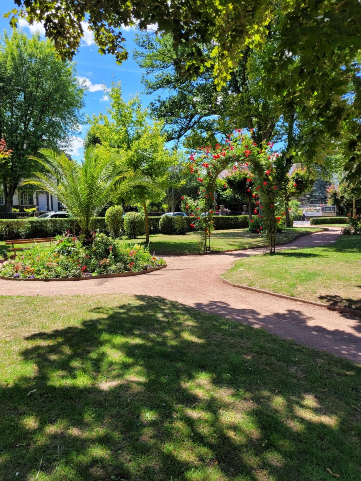 Urlaub Am Rhein, Ferienwohnung Mit Garten ボッパルト エクステリア 写真
