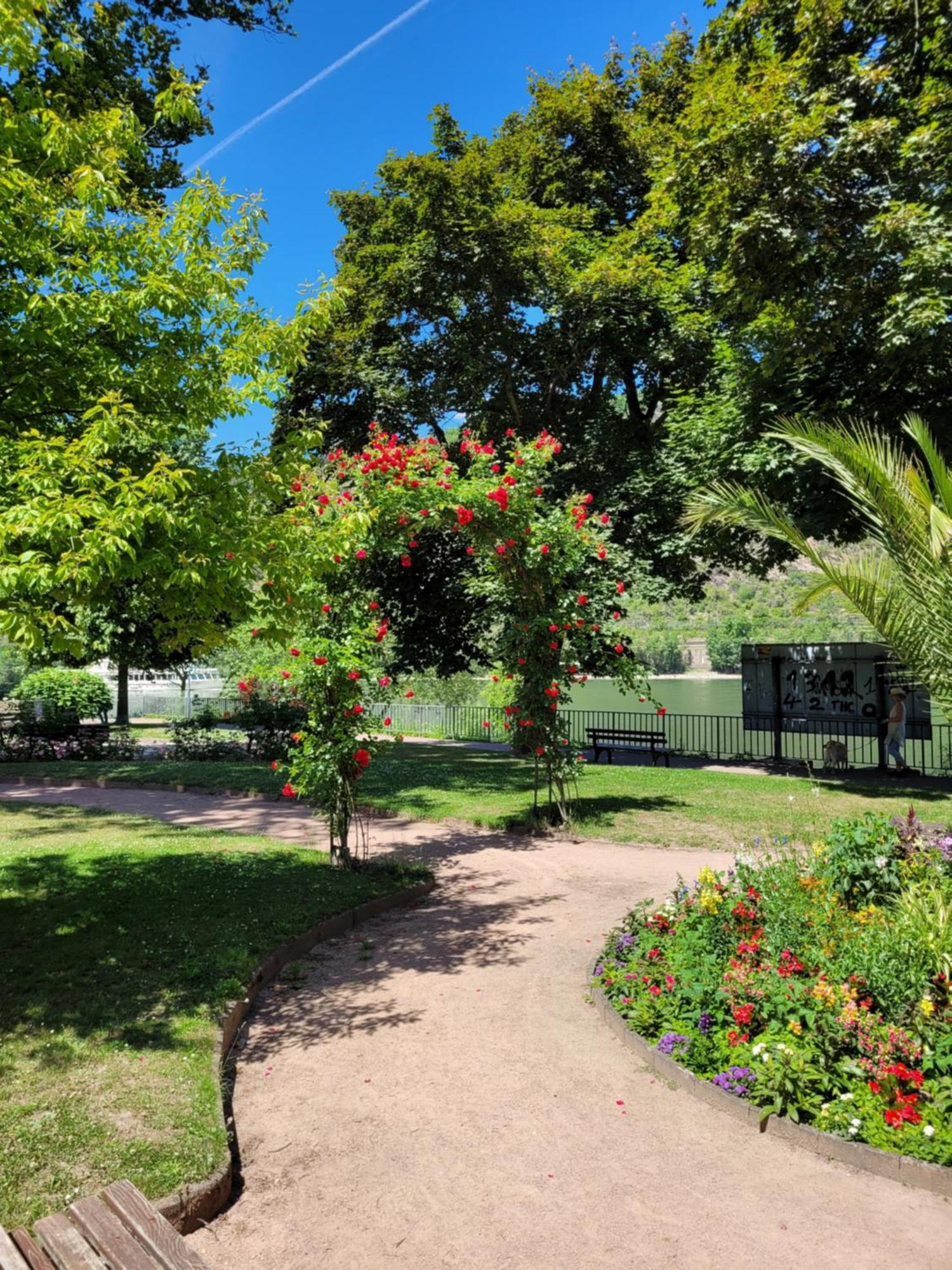 Urlaub Am Rhein, Ferienwohnung Mit Garten ボッパルト エクステリア 写真